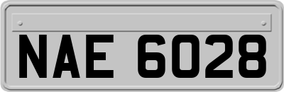 NAE6028