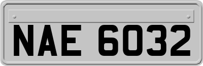 NAE6032