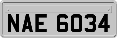 NAE6034