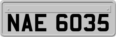 NAE6035