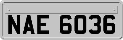 NAE6036