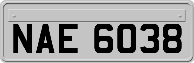 NAE6038