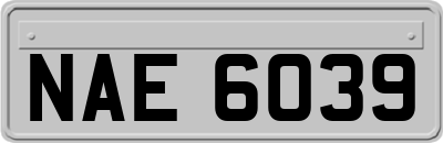 NAE6039