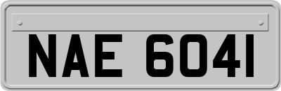 NAE6041