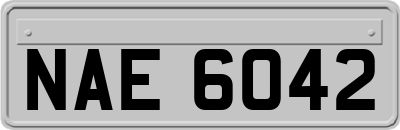 NAE6042