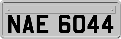 NAE6044