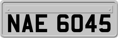 NAE6045