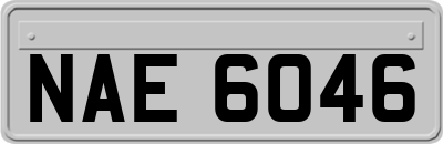 NAE6046