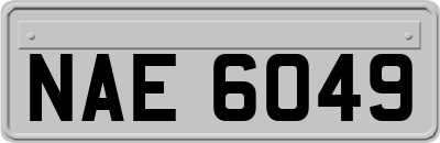 NAE6049