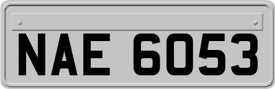 NAE6053