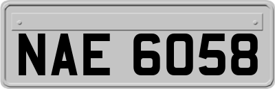 NAE6058