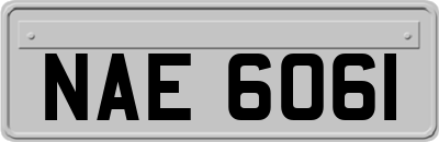 NAE6061