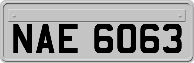 NAE6063