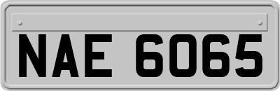 NAE6065