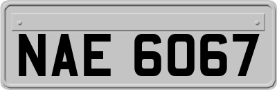 NAE6067