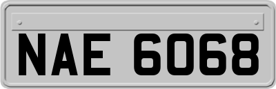 NAE6068