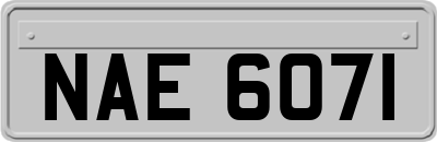 NAE6071