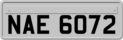 NAE6072