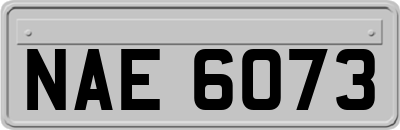 NAE6073