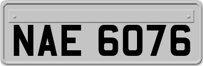 NAE6076