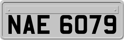 NAE6079