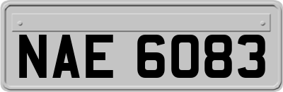 NAE6083