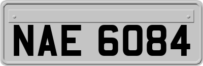 NAE6084