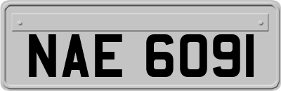 NAE6091