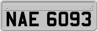 NAE6093