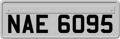 NAE6095