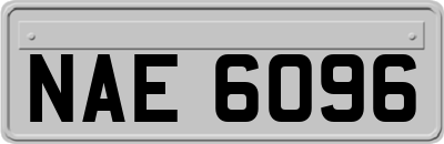 NAE6096