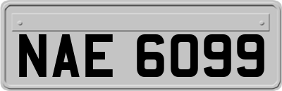 NAE6099