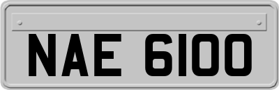 NAE6100