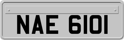 NAE6101