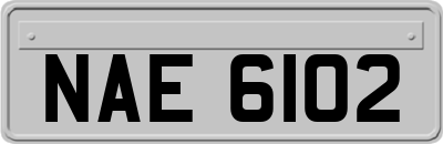 NAE6102