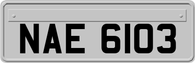 NAE6103