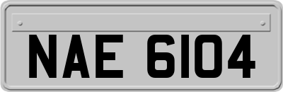 NAE6104