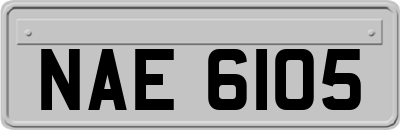 NAE6105