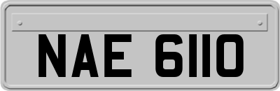 NAE6110