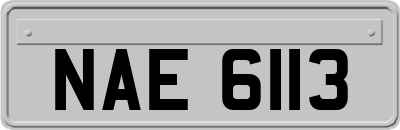 NAE6113