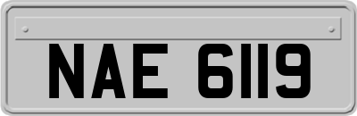 NAE6119