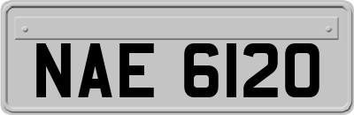 NAE6120