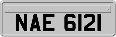 NAE6121