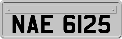 NAE6125