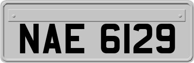 NAE6129