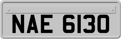 NAE6130