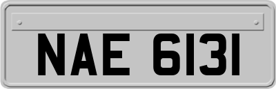 NAE6131