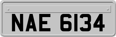 NAE6134