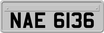 NAE6136