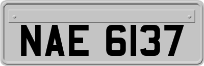 NAE6137